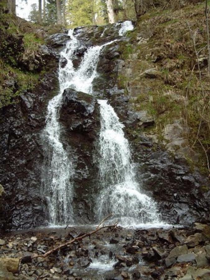 B&B Ma Maison Hautes Vosges Ranspach Dış mekan fotoğraf